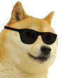 :cool_doggo: