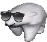 :polarbearsunglasses: